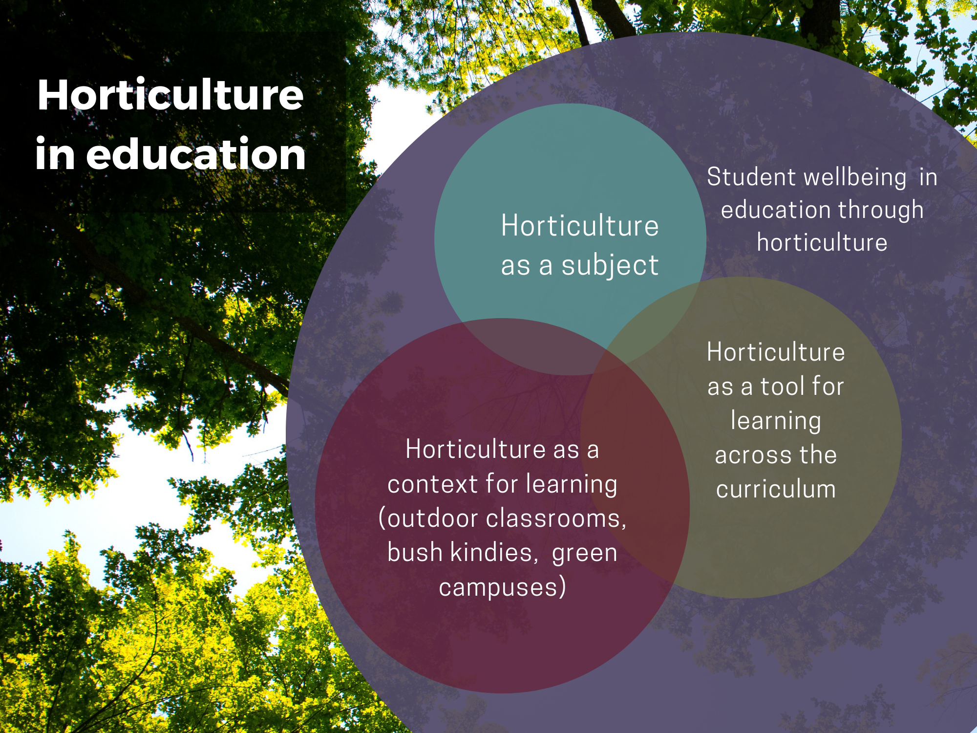Conceptualising horticulture in education as a subject, tool, context and benefit. (Image: Kate Neale)