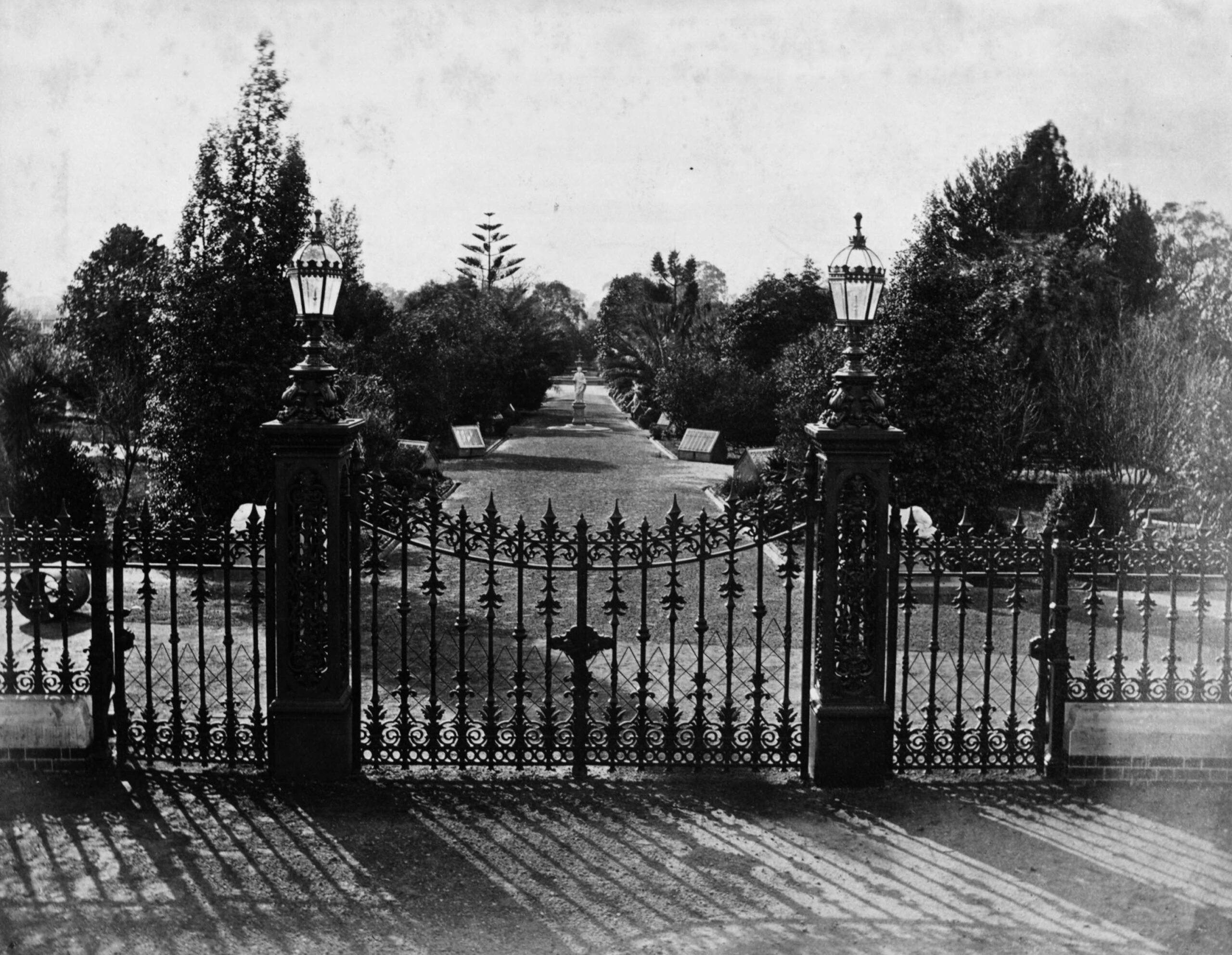 Main gates and walk at the Adelaide Botanic Gardens in 1877, lined with used Wardian cases