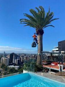 Maintenance action on the Emporium Hotel’s rooftop, 21 levels above ground