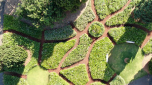 Drone-captured images show the layout and size of the RBG Wild Meadow