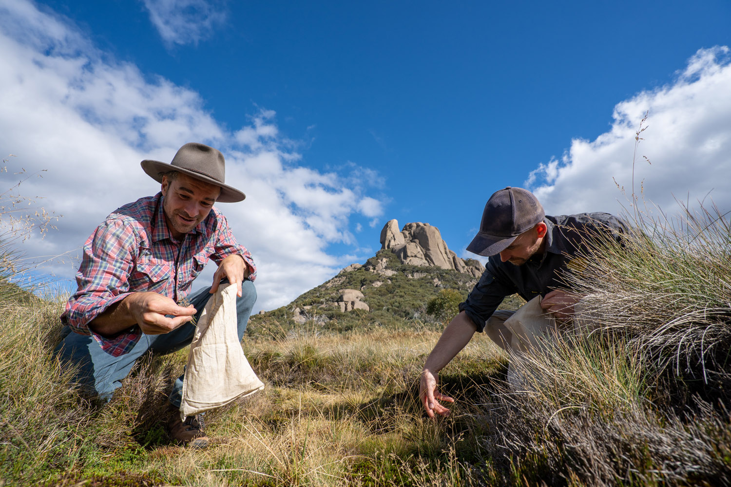 Field collection Mount Buffalo 2020. L-R Andre Messina, Botanist and Matthew Henderson Horticulturist
