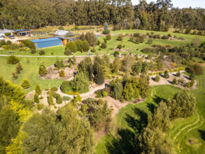 Recent (2021) image of the same area of the garden (Image: Inala-B Moriarty)