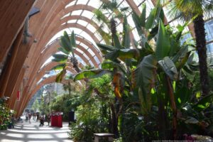 Imagine the edible plants that could be grown in a winter garden like this one in Sheffield, England? (Image: Andrew Tryon, n.d. CC-By-SA 2.0)