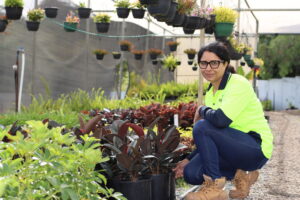 Heena tends the nursery stock