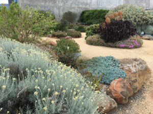 Image 1: The Sensory Garden at MBG