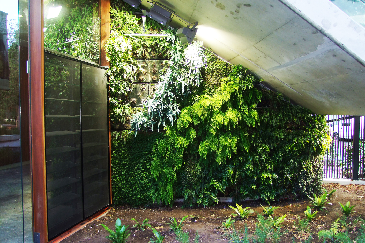 Retrofitted grow lights were not enough to save this heavily shaded green wall that no longer exists