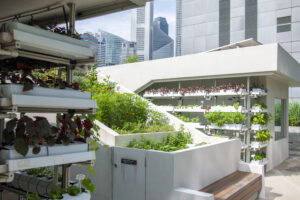 Green Space International Award - Edible Garden City - Funan Urban Farm, Singapore (Image: Edible Garden City)