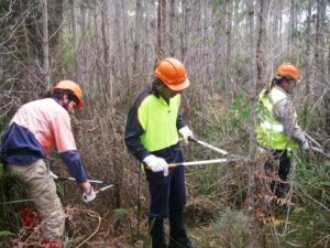 Green Space Regional Award - The Northeast Bioregional Network (Image: NEBN)