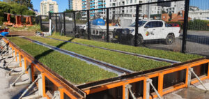 Turf laid in test strips-Source-HL Landscapes