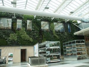 Green walls is now a fast-growing sector requiring horticulture skills and more