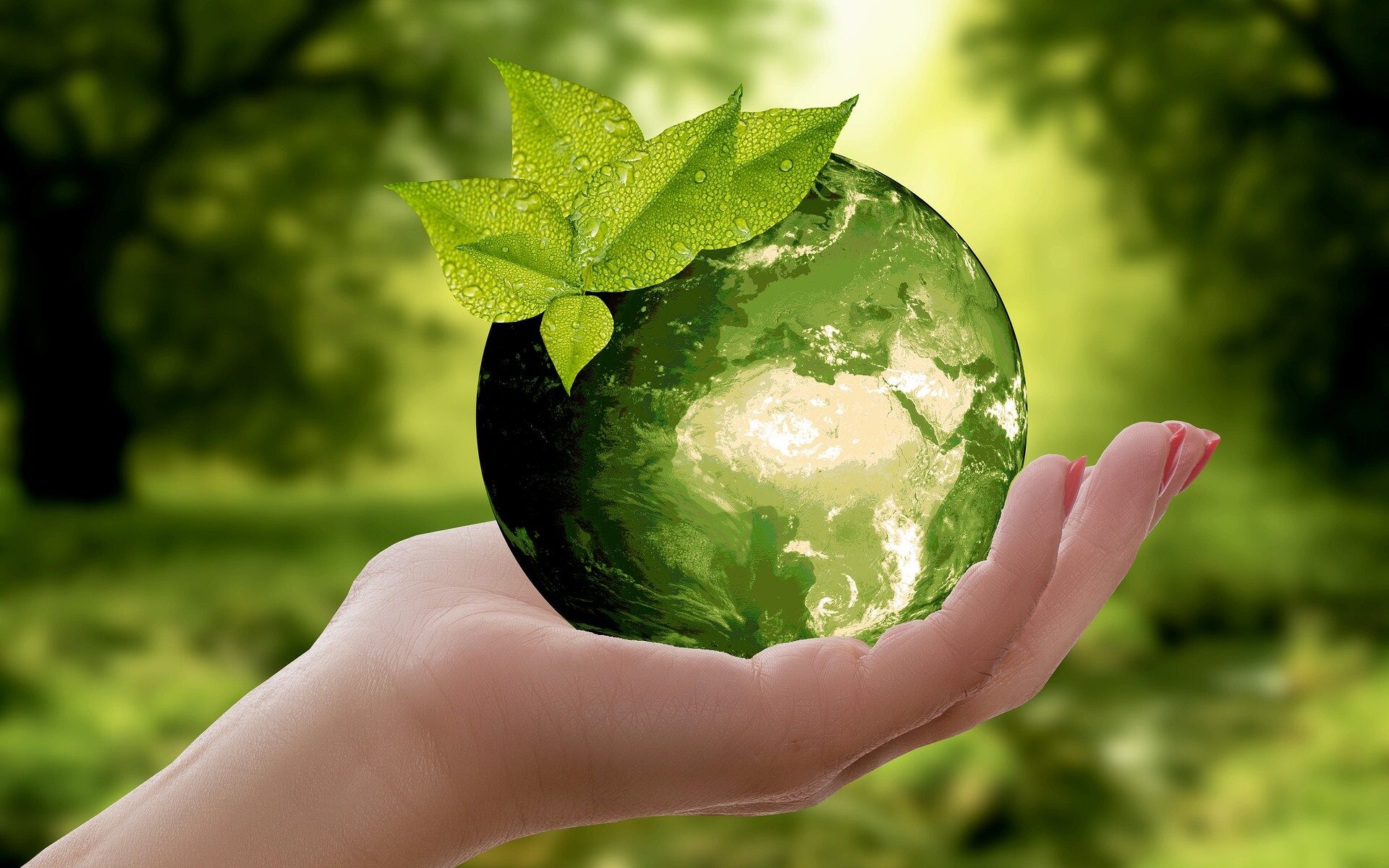 Help our planet become a better planet to grow old in (Image: Pixabay anncapictures)