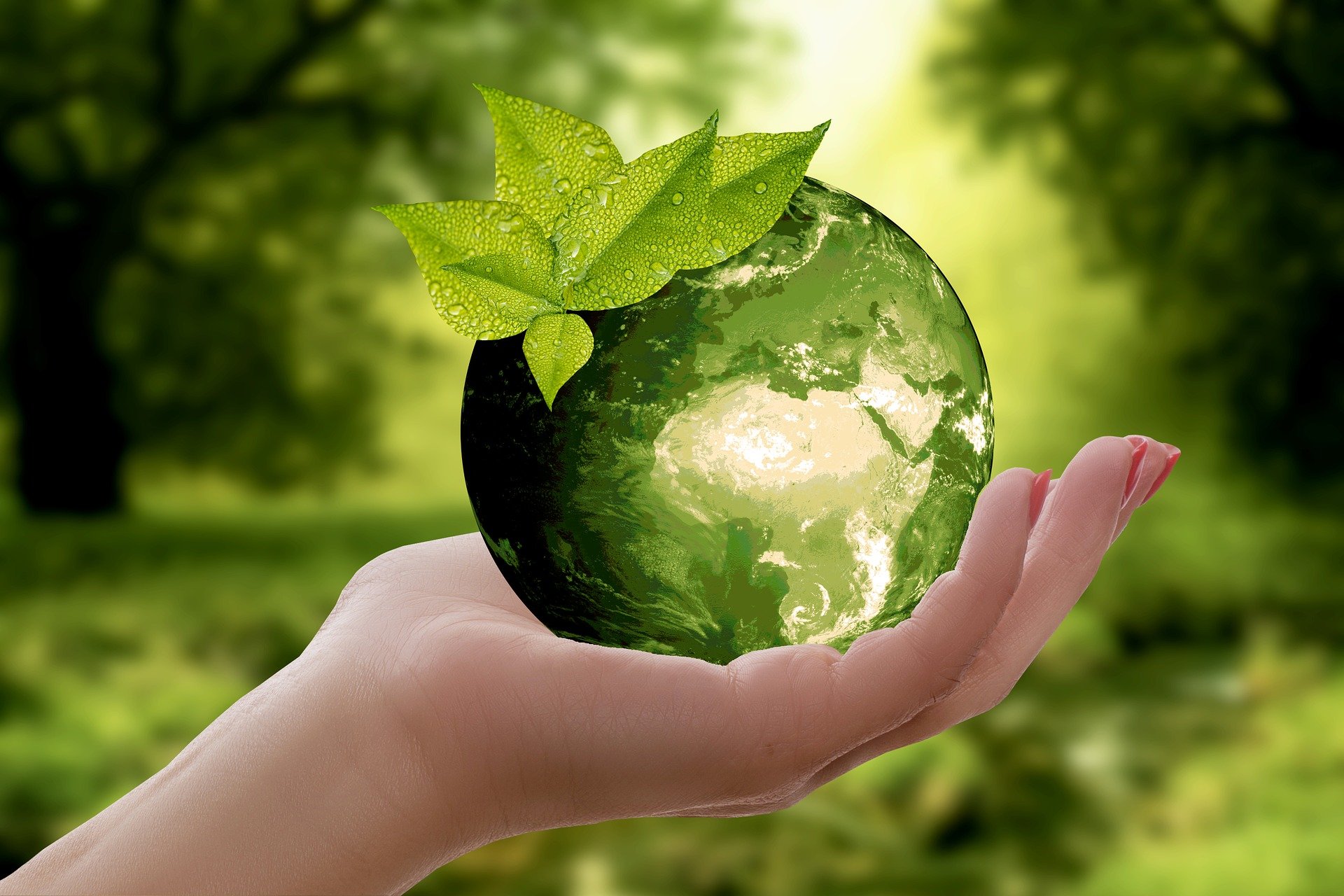 Help our planet become a better planet to grow old in (Image: Pixabay anncapictures)