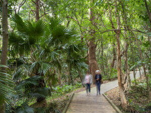 Wollongong Botanic Garden, the best things in life can be free