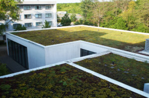 Green roof engineering, design and management is a growing sector
