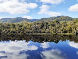 The Gordon River in all its natural splendour (Image: Gabrielle Stannus, Inwardout Studio)