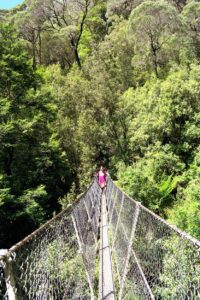 Me on the suspension bridge over the Avon Creek near Montezuma Falls. This was as much risk as I could handle!
