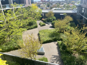 Inner city apartment blocks like this have numerous opportunities to integrate green spaces and social activities