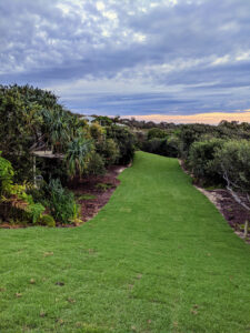 Turf firebreak at The Retreat (Image: Turfbreed)