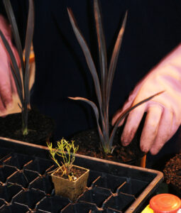 The right potting mix will give superior propagation and growing results
