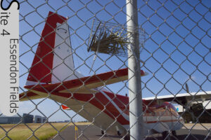 Tillandsia SWARM site on the fence at Essendon Airport, Essendon Fields (Image: Lloyd Godman)