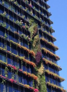 Green walls impose even higher demands on growing media performance