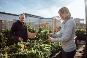 In addition to the Community Farm, many residents at The Cape also have their own high-yielding vegetable gardens (Image: Will Hamilton-Coates)