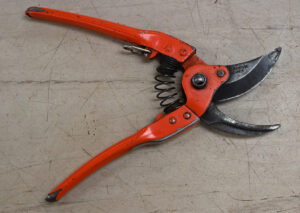 Thirty five years young, a good pair of secateurs can last a lifetime