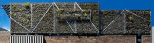 Movable tillandsia screen on west-facing window. Left side 2016, right side 2021, demonstrates the growth of the plants which significantly reduces heat in summer
