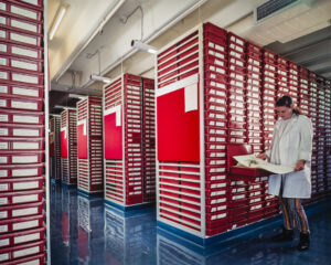 The current storage method at the new Herbarium site at Mt Annan