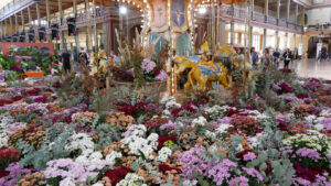 The carousel of colour (Image: Karen Smith)