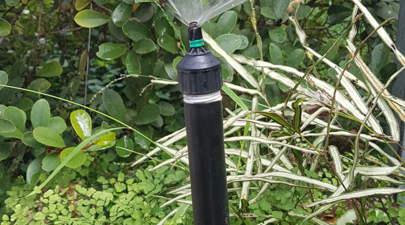 Sprinkler type and height above the crop are major factors in irrigation application efficiency