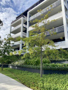 Urban greenery softening this inner-city apartment block (Image: Michael Casey)