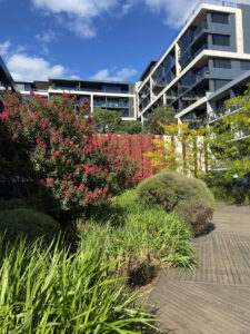 This inner-city building making the most of its green spaces (Image: Michael Casey)