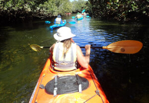 Participants studying mangrove vegetation as part of South Australia’s Coastal Ambassadors Program (Image: Mike Bosely)