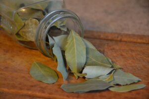 Bay leaves (Image: kropekk_pl from Pixabay)