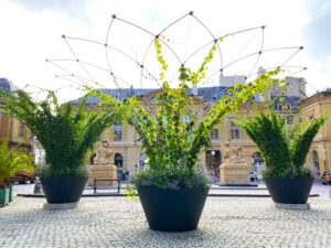 The Constellation Canopee installed in Metz, France (Image: Urban Canopee Aus-tralia)