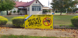 An example of the campaign materials used in Cobram to raise awareness about Qfly