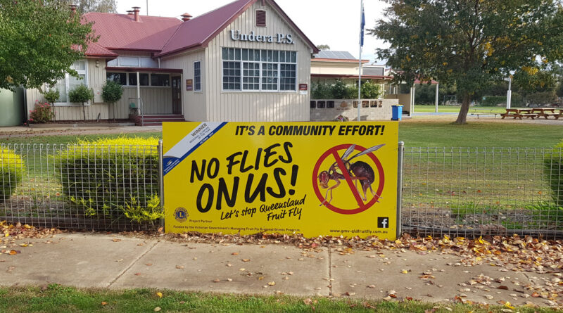 An example of the campaign materials used in Cobram to raise awareness about Qfly