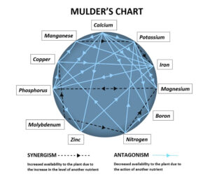 An example of a simple version of the Mulder’s Chart
