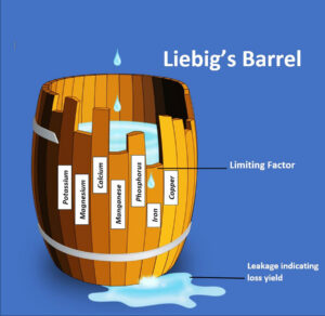 A rendering of Liebig’s Barrel illustrating lost yield due to nutrient limiting factors