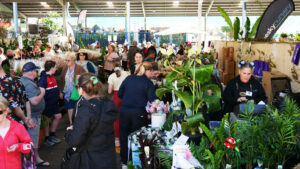 Dracaena Farm Nursery was popular with customers for their top-quality plants (Image: Karen Smith)