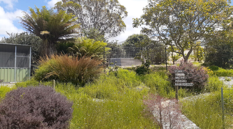 Rees and her partner Col have created the beautiful Murnong Wild Food Garden on a small suburban block in Wynyard, northern Tasmania, containing over 120 native edible plants