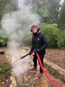 The Steamy Wonder for weed managements (Image: ANBG)