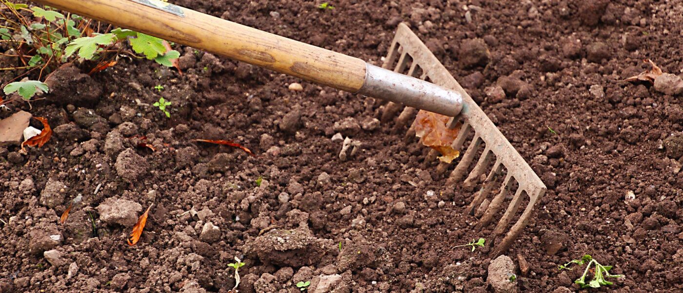 A healthy soil will greatly reduce the need for fertiliser. (Image: Pixabay Dean Moriarty)