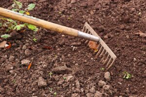 A healthy soil will greatly reduce the need for fertiliser. (Image: Pixabay Dean Moriarty)