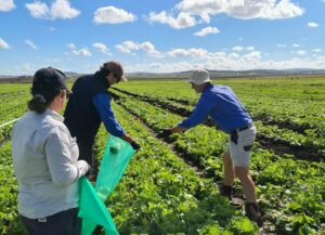 Horticulture and GLP lead Matt Burley training graduates Jake and Lauren in Toowoomba