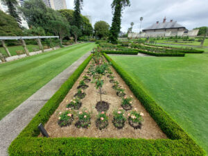 Grey skies won’t dampen these new plantings.