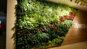 The green wall at the entrance to the lifts (Image: Karen Smith)
