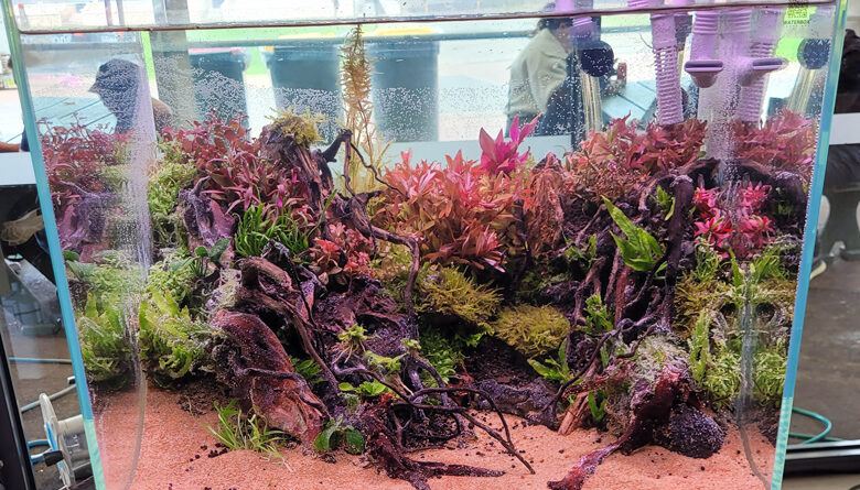 Aquascaping is the real new ‘edge’