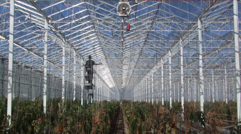 Modern greenhouse technology allows students to achieve industry currency